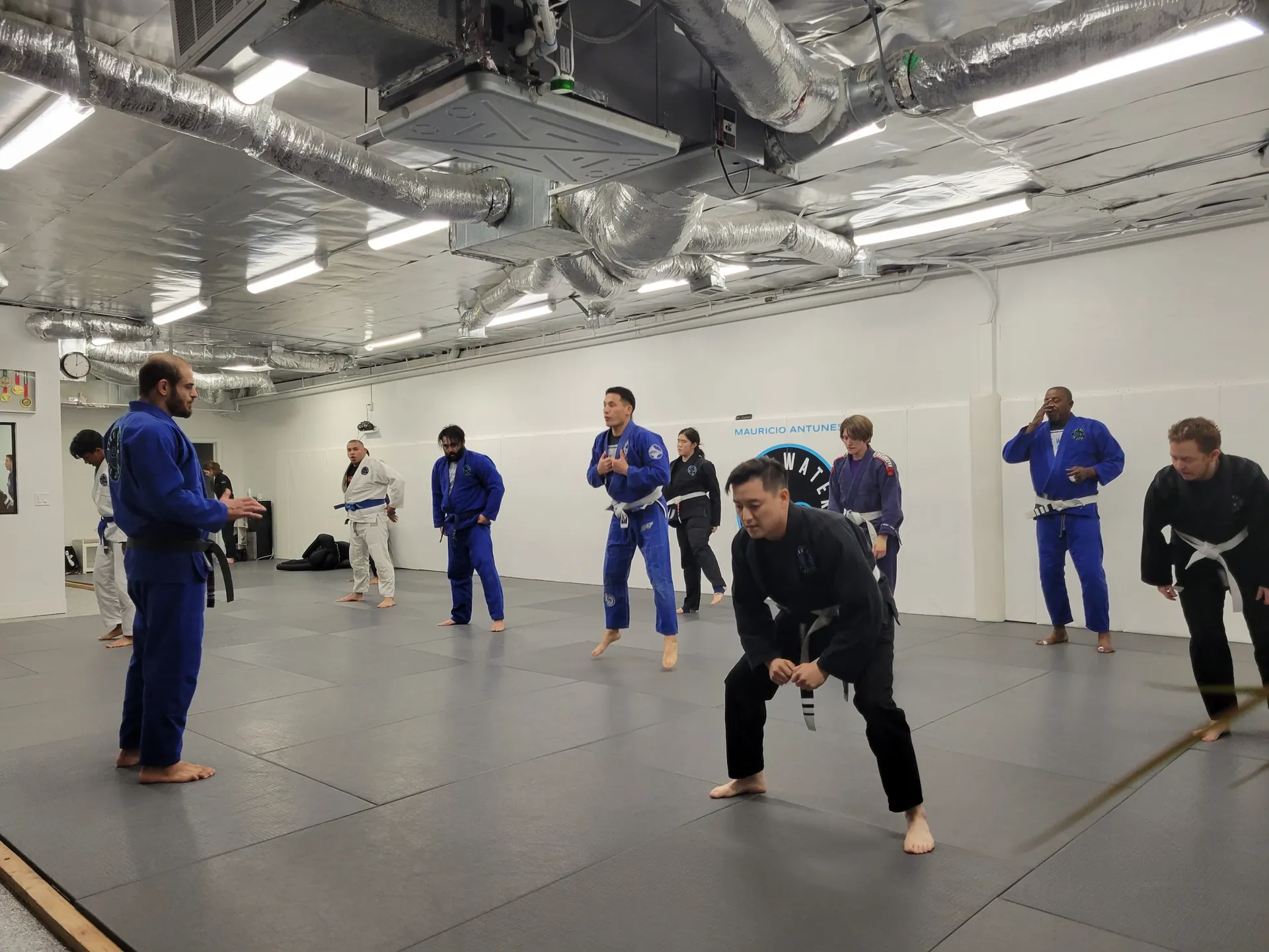 Adults in gis lined up across the mat, learning a movement from the coach at the front of the class
